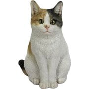 H23088 [お座り三毛猫]