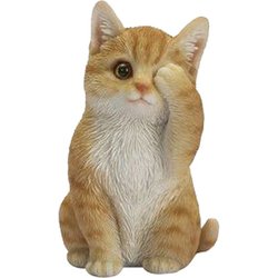 H23006-1 [見ざる茶トラ猫]