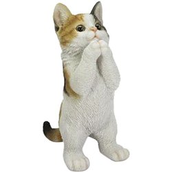 H23089 [おねだり三毛猫]