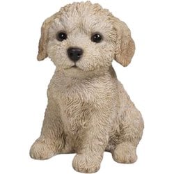 H15190 [お座りプードル子犬]