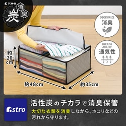 活性炭衣類整理袋 1枚 171-71