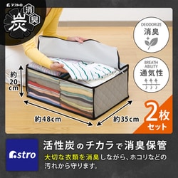 活性炭衣類整理袋 2枚組 171-81