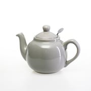 580101 [ティーポット 2カップ 550ml グレイ]