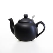 580121 [ティーポット 2カップ 550ml ブラック]