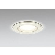 バスルームライト 白熱灯器具60W相当 要電気工事 OD261030LR