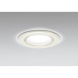 バスルームライト 白熱灯器具60W相当 要電気工事 OD261030NR