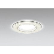 バスルームライト 白熱灯器具60W相当 要電気工事 OD261030NR