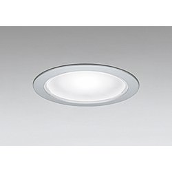 エクステリアライト 白熱灯器具60W相当 要電気工事 OD261869NR