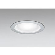 エクステリアライト 白熱灯器具60W相当 要電気工事 OD261869NR