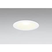 ダウンライト 白熱灯器具100W相当 要電気工事 OD301071LR