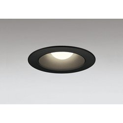 ダウンライト 白熱灯器具100W相当 要電気工事 OD301074LR