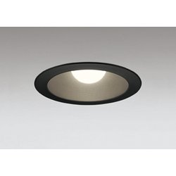 ダウンライト 白熱灯器具100W相当 要電気工事 OD301076LR