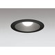 ダウンライト 白熱灯器具100W相当 要電気工事 OD301076NR