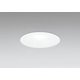 ダウンライト 白熱灯器具60W相当 要電気工事 OD301077NR