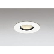 ダウンライト 白熱灯器具60W相当 要電気工事 OD361072R