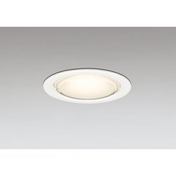 エクステリアライト 白熱灯器具100W相当 要電気工事 OD361529LCR