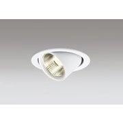 ダウンライト 白熱灯器具100W相当 要電気工事 OD361533R