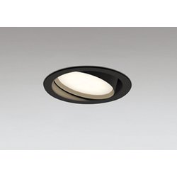 ダウンライト 白熱灯器具100W相当 要電気工事 OD361556LDR