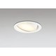 ダウンライト 白熱灯器具60W相当 要電気工事 OD361557BCR