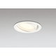 ダウンライト 白熱灯器具60W相当 要電気工事 OD361557LDR