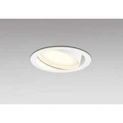 ダウンライト 白熱灯器具60W相当 要電気工事 OD361557LDR