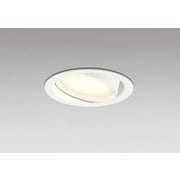 ダウンライト 白熱灯器具60W相当 要電気工事 OD361557LDR