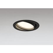 ダウンライト 白熱灯器具60W相当 要電気工事 OD361558LDR