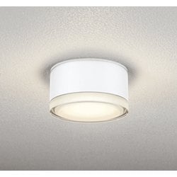 エクステリアライト 白熱灯器具100W相当 要電気工事 OG254598LR