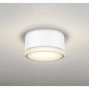 エクステリアライト 白熱灯器具100W相当 要電気工事 OG254598LR