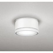 エクステリアライト 白熱灯器具100W相当 要電気工事 OG254598NR