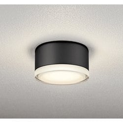 エクステリアライト 白熱灯器具100W相当 要電気工事 OG254599LR