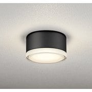 エクステリアライト 白熱灯器具100W相当 要電気工事 OG254599LR