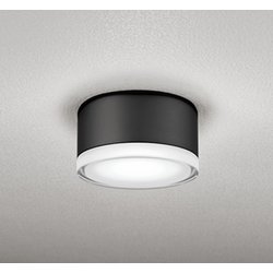 エクステリアライト 白熱灯器具100W相当 要電気工事 OG254599NR