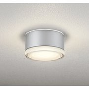 エクステリアライト 白熱灯器具100W相当 要電気工事 OG254600LR