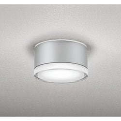 エクステリアライト 白熱灯器具100W相当 要電気工事 OG254600NR