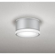 エクステリアライト 白熱灯器具100W相当 要電気工事 OG254600NR
