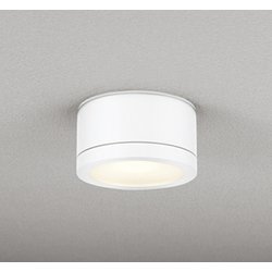 エクステリアライト 白熱灯器具100W相当 要電気工事 OG254601LR