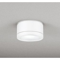エクステリアライト 白熱灯器具100W相当 要電気工事 OG254601NR