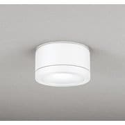 エクステリアライト 白熱灯器具100W相当 要電気工事 OG254601NR