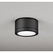 エクステリアライト 白熱灯器具100W相当 要電気工事 OG254602NR