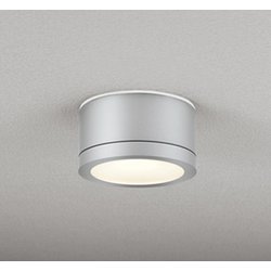 エクステリアライト 白熱灯器具100W相当 要電気工事 OG254603LR