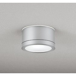 エクステリアライト 白熱灯器具100W相当 要電気工事 OG254603NR