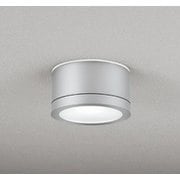 エクステリアライト 白熱灯器具100W相当 要電気工事 OG254603NR