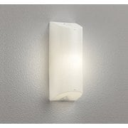 エクステリアライト FL20W相当 要電気工事 OG254673LR