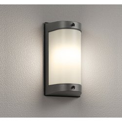 エクステリアライト 白熱灯器具60W相当 要電気工事 OG254695LR