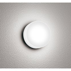 エクステリアライト 白熱灯器具60W相当 要電気工事 OG254821R
