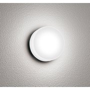 エクステリアライト 白熱灯器具60W相当 要電気工事 OG254821R
