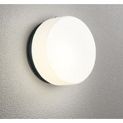エクステリアライト 白熱灯器具60W相当 要電気工事 OG254978LCR