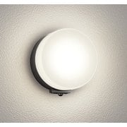 エクステリアライト 白熱灯器具60W相当 要電気工事 OG254985LCR