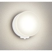 エクステリアライト 白熱灯器具60W相当 要電気工事 OG254986LCR